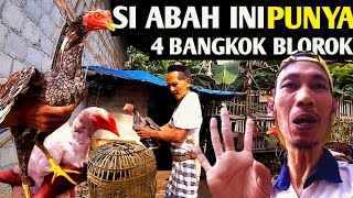 Nama-Nama Ayam Bangkok Blorok