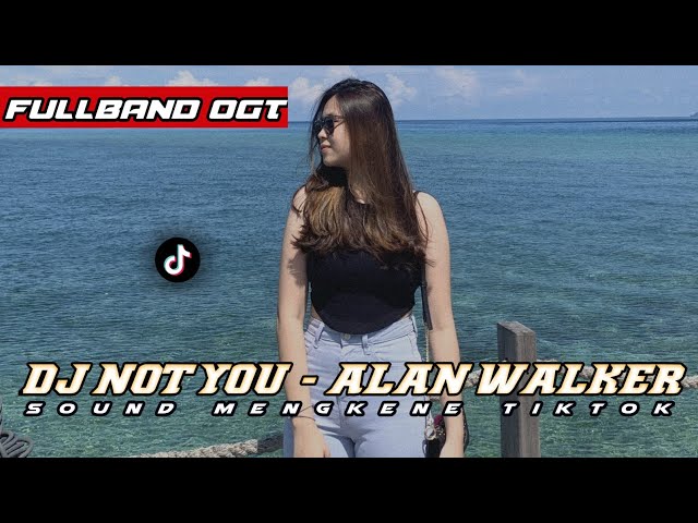 DJ NOT YOU - ALAN WALKER - REMIX FULLBAND OGT - SOUND VIRAL TIKTOK class=