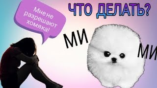 Как уговорить родителей купить животного? Как уговорить родителей купить животного?