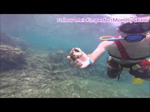 Snuba Roatan Snuba & Mahogany Beach in Isla Roatan! 4/7/2016 - YouTube