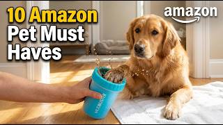 10 Amazon Pet Must Haves Your Dog Will Actually Use