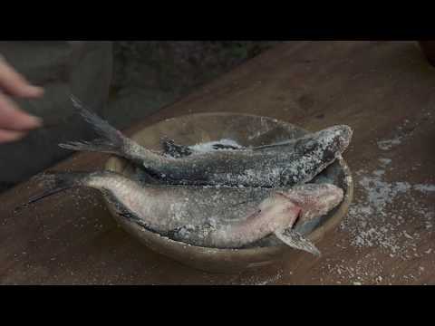 Video: Wie Man Fisch Auf Dem Balkon Trocknet