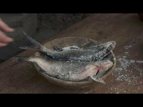 Video: Wann wurde der Salzfisch erfunden?