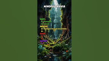 Can You Name the WORLD