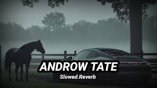 Tate Andrew Song  Slowed Reverb 