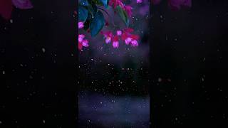 Download Lagu Surah Qalam Ayat 10-11 #viral #explore #youtubeshorts #love #quran MP3