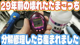 Disassembling and Repairing a 29-Year-Old Broken Tamagotchi. Will