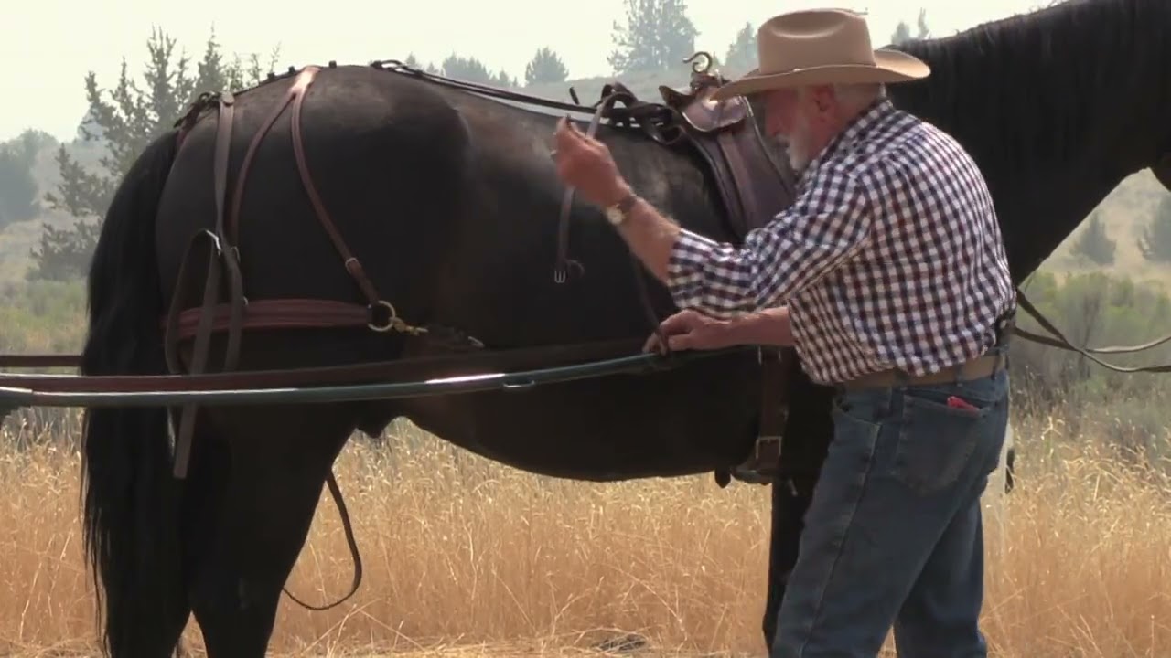 Hitching The Single Horse to Cart.