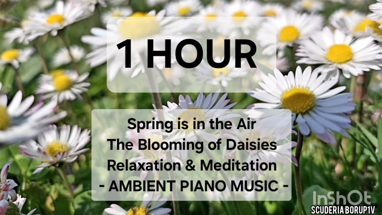 1 HOUR [18] | Spring is in the Air | The Blooming of .. | Relaxation ...