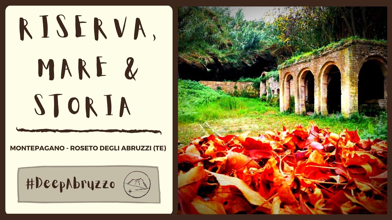 Riserva del Borsacchio, mare e storia