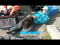 お帰りチャイム♪が鳴ると・・・
