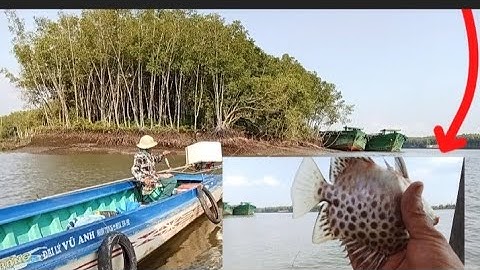 Câu Cá Nâu Sông Thị Vải với Cần Thủ Nữ || Đam mê câu cá