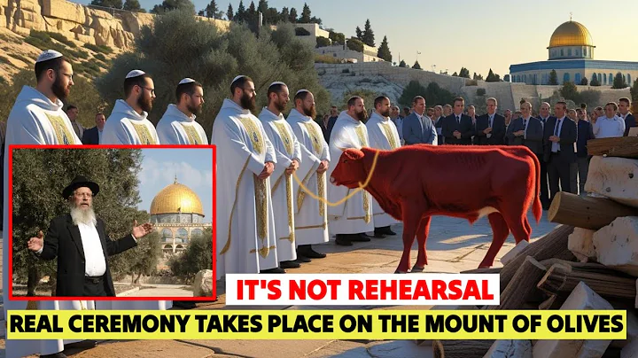 Third Temple Update: Red Heifer Ceremony Finally Takes Place in The Mount of Olives?