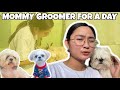 Mommy groomer for a day paano mag groom ng shihtzu round face cut