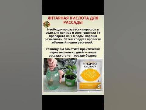 Янтарная кислота для рассады. - YouTube