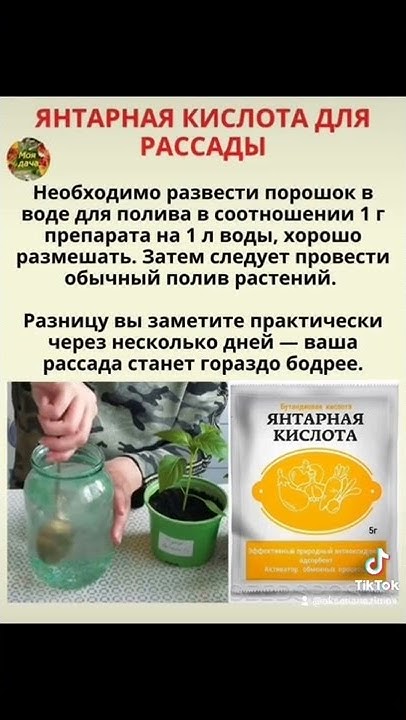 Янтарная кислота для рассады. - YouTube