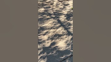 Weird crescent shaped shadows during solar eclipse 2023 Texas