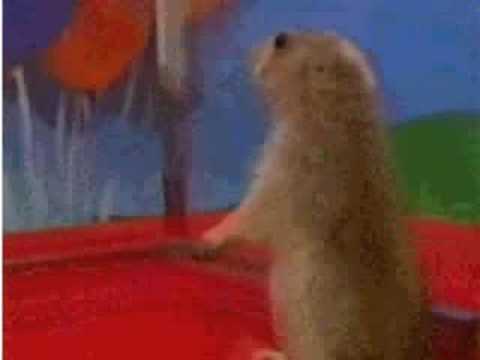 Dramatic look Chipmonk Holy Shit