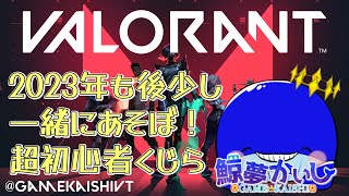 『ヴァロラント参加型』年末だからヴァロ…初心者歓迎！鯨夢かいしVTuber🐋💤(げいむかいし)【VALORANT】#鯨夢start