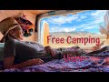 Back out on the Open Road - Free Camping on Public Land - Van Life in 4K