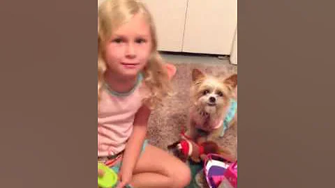 Rylee and Allie and Harold play with cruise ship