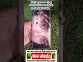 Viral Girl Eye Back skin Most Trending Mobile Skin Available पंकज मोबाइल दिल्ली रोड #kharkhoda #hr79