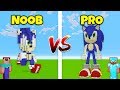 Minecraft Noob vs. Pro: Sonic the Hedgehog Mod in Minecraft