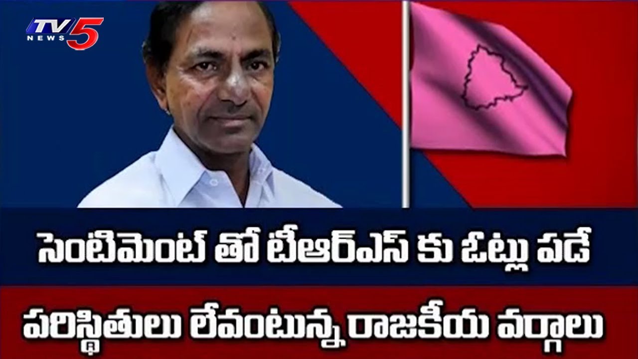 TRS's Political Sketch to Win in the 2019 TS Elections | 