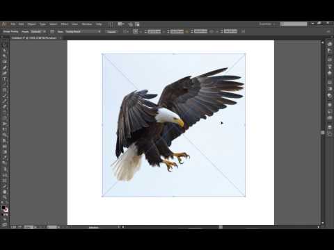 Image Trace in Adobe Illustrator CC