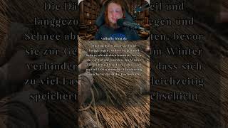 Die Dächer der Langhäuser: Meisterstücke der Baukunst | #shorts #wikinger #geschichte #mythologie