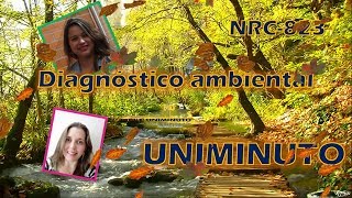 UNIMINUTO - DIAGNOSTICO AMBIENTAL NRC 823