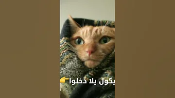 علا عنادكم أنا متخرج يلا كومو تأخرتو Fouryou Messi Realmadrid 