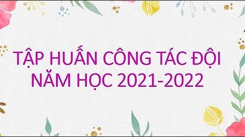Tập huấn trực tuyến công tác Đội năm 2021-2022