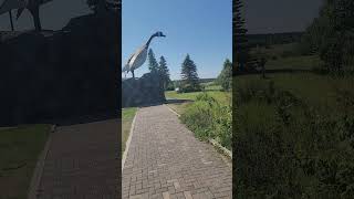 Journey Across Canada - Wawa Goose