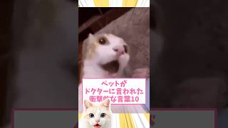ペットがドクターに言われた衝撃的な言葉　#猫 #2ch #面白集