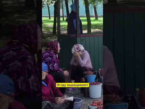 🍓 800 гектаров клубники — и это только один район