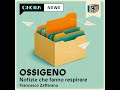 Il Paese che sta risolvendo il problema dei senzatetto