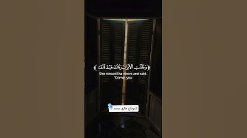 تلاوة من سورة يوسف القارئ هاني العزوني
