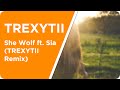 House | David Guetta - She Wolf (Falling To Pieces) ft. Sia (TREXYTII Remix)
