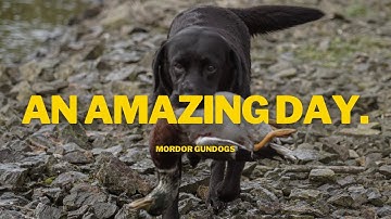 When It Just "Clicks" For The Dog In Training