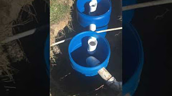 Homemade Septic System 55 Gallon Drum - Homemade Ftempo