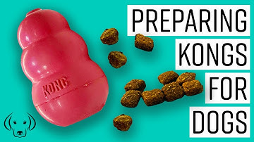 HOW TO: Stuff your dog