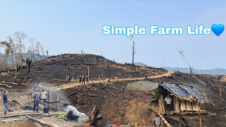 A Day In Neighbors Fieldfield Work, Simple Farm Life Building And Cleaning