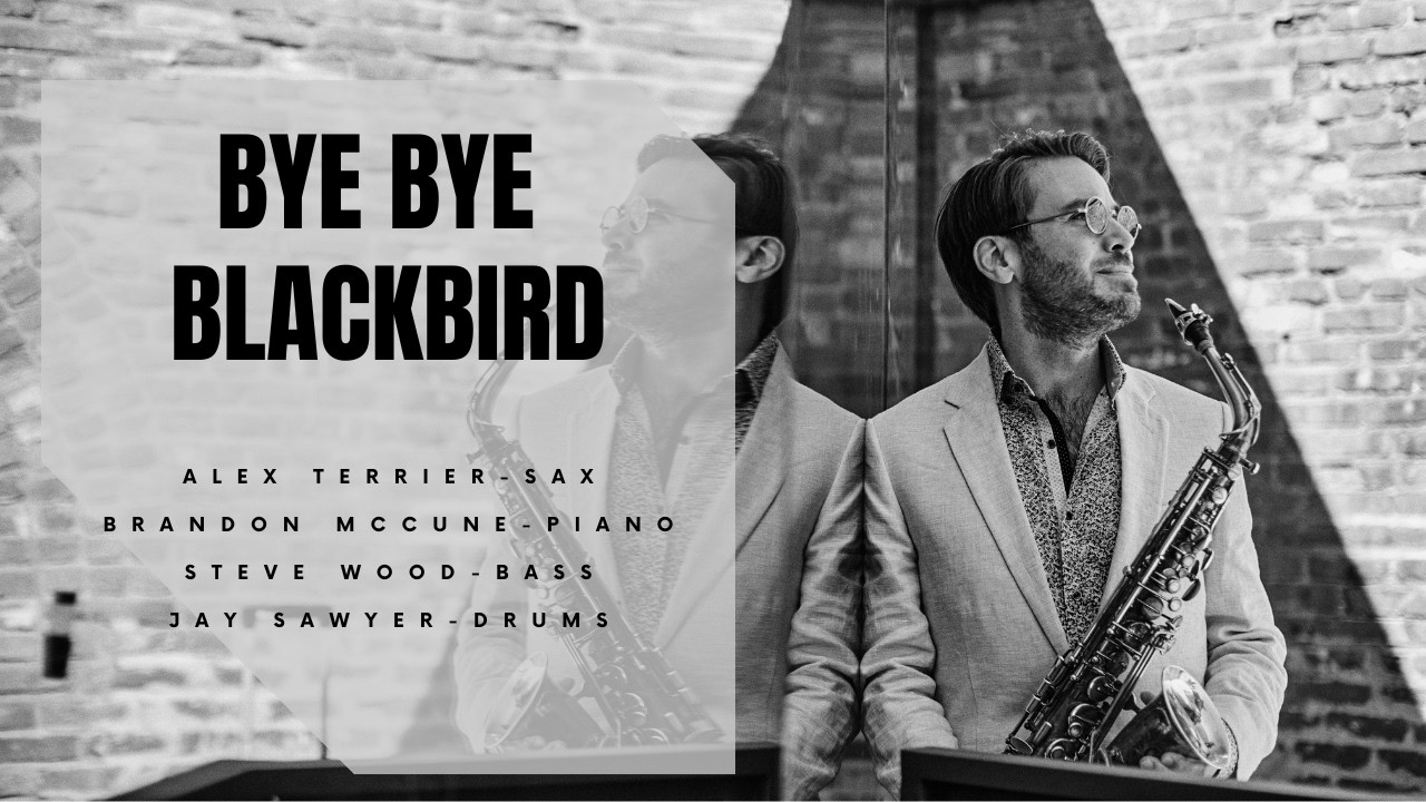 Bye Bye Blackbird - Official Video