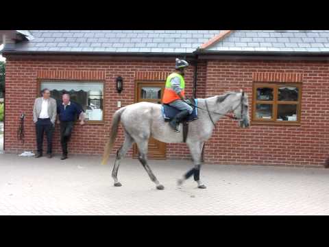 Vinmix De Bessy At Gary Moore's Yard