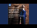 Miniature de la vidéo de la chanson Mallet Concerto: Iv. A Xylo-Waltz