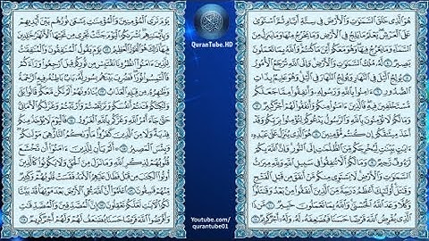 محمد المنشاوي | 003 : سورة آل عمران | المصحف المجود
