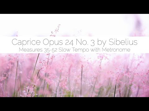 Caprice Opus 24