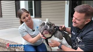 Family and Pet Safe Treatments | Accurate Termite & Pest Control