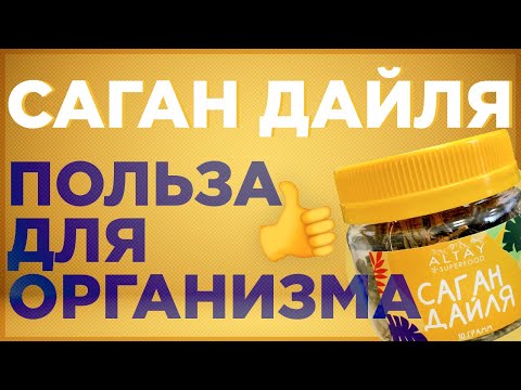 Саган Дайля. Саган Дайля  польза для организма.